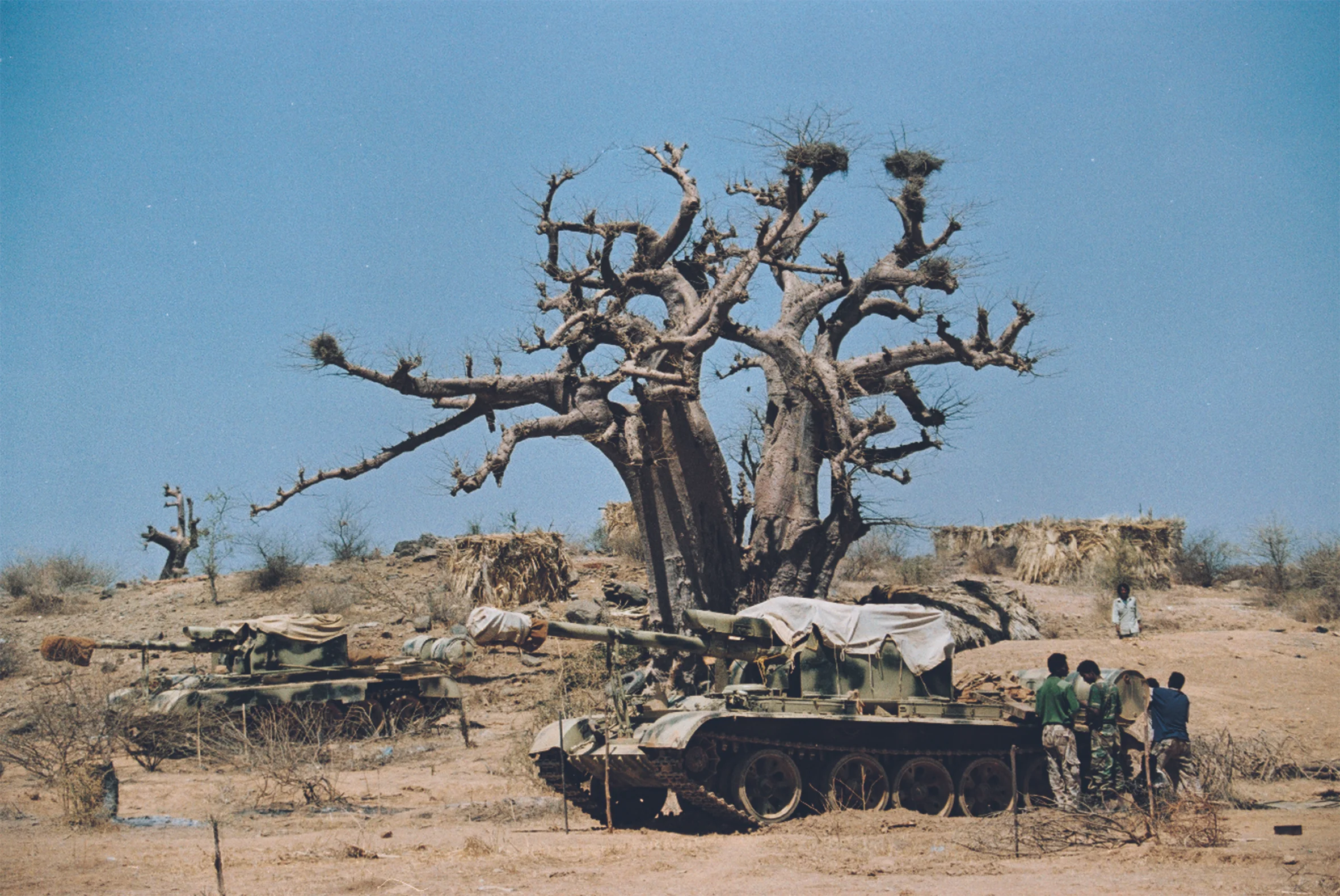 Eritreanska trupper vid Badmefronten.