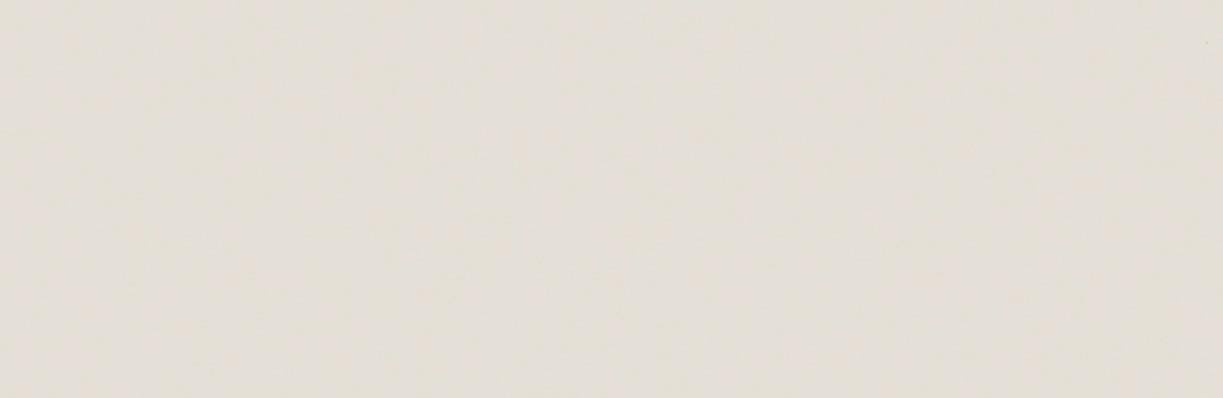 NEUTRAL SLIM BEIGE MATE 920.jpg