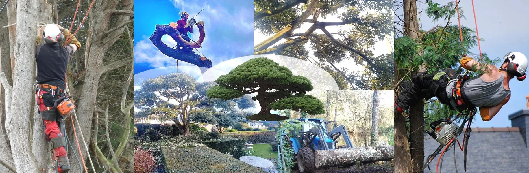 visuel-header-julien.jpg