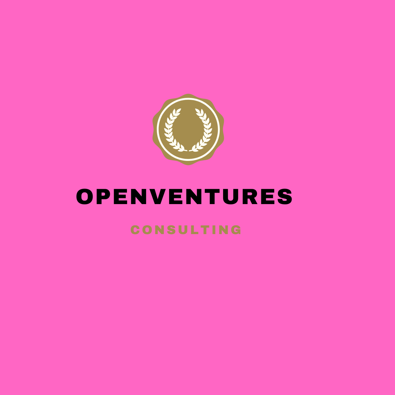 OpenVentures Consulting