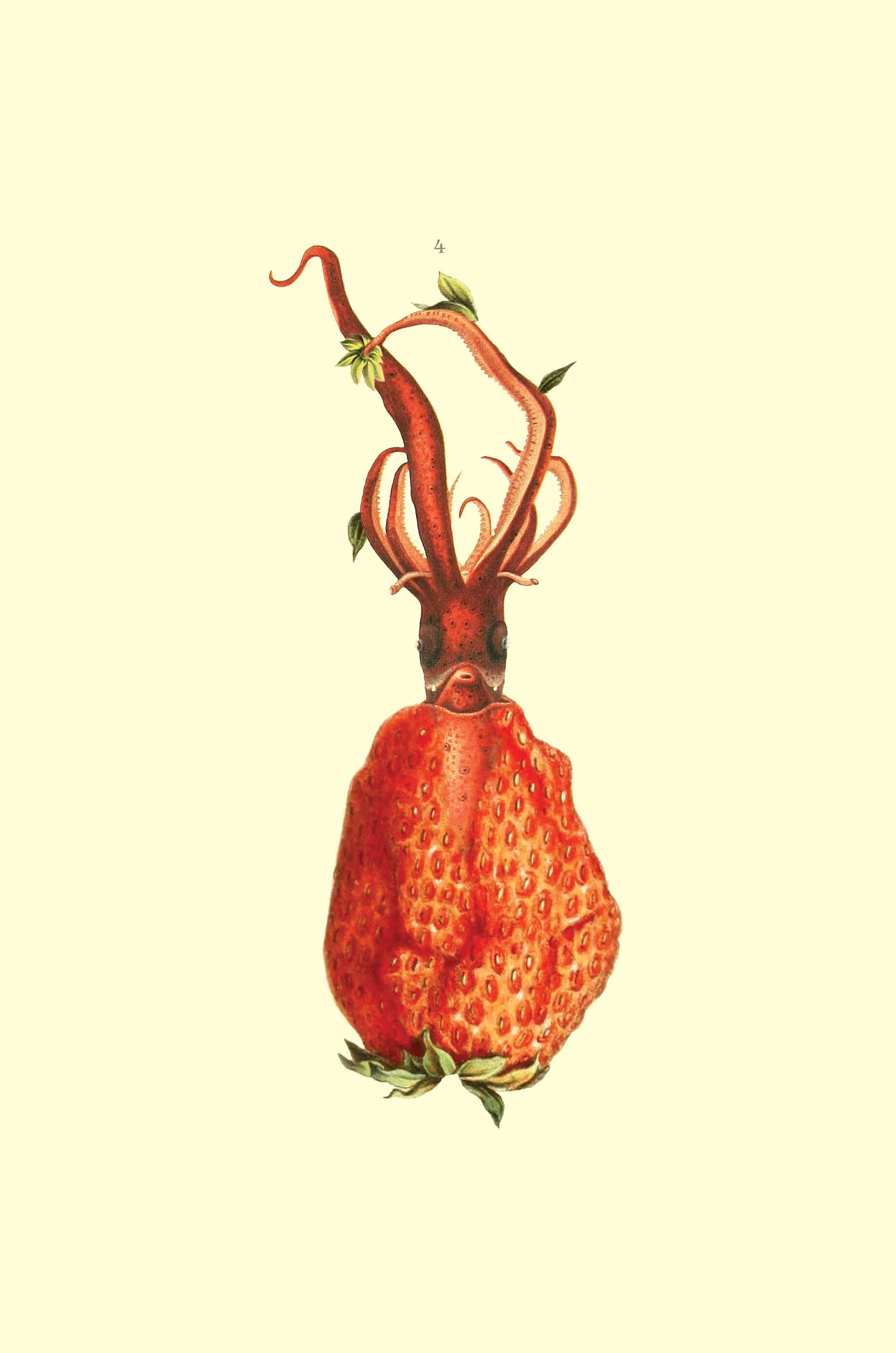  Just a weirdo collage. 