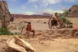 fsg_sand_1.jpg