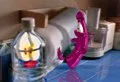 squeezit2.jpg