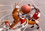 tonyBBall2.jpg