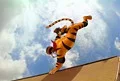 tonySkateBd.jpg
