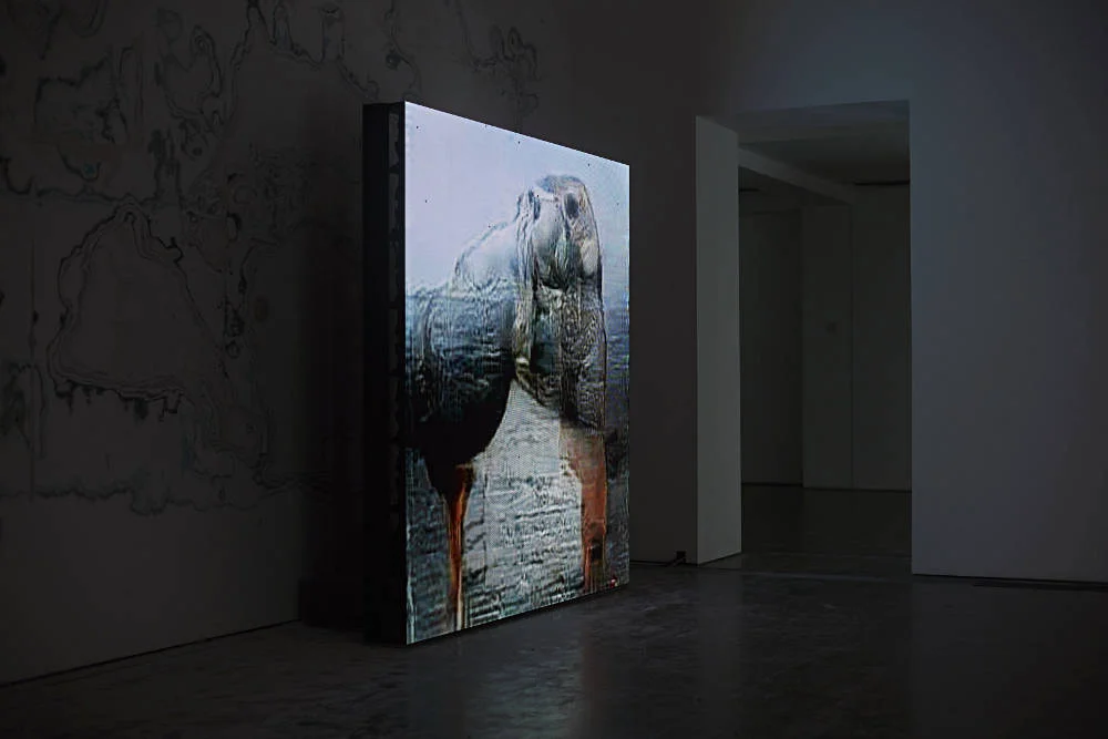 Serpentine-Gallery-Pierre-Huyghe-1.jpg