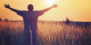 To learn more about Kathy's counseling offerings and how she works with clients on mood and anxiety disorders, grief and loss, relationship issues, parenting, medical/health issues and pediatric obesity, click here .