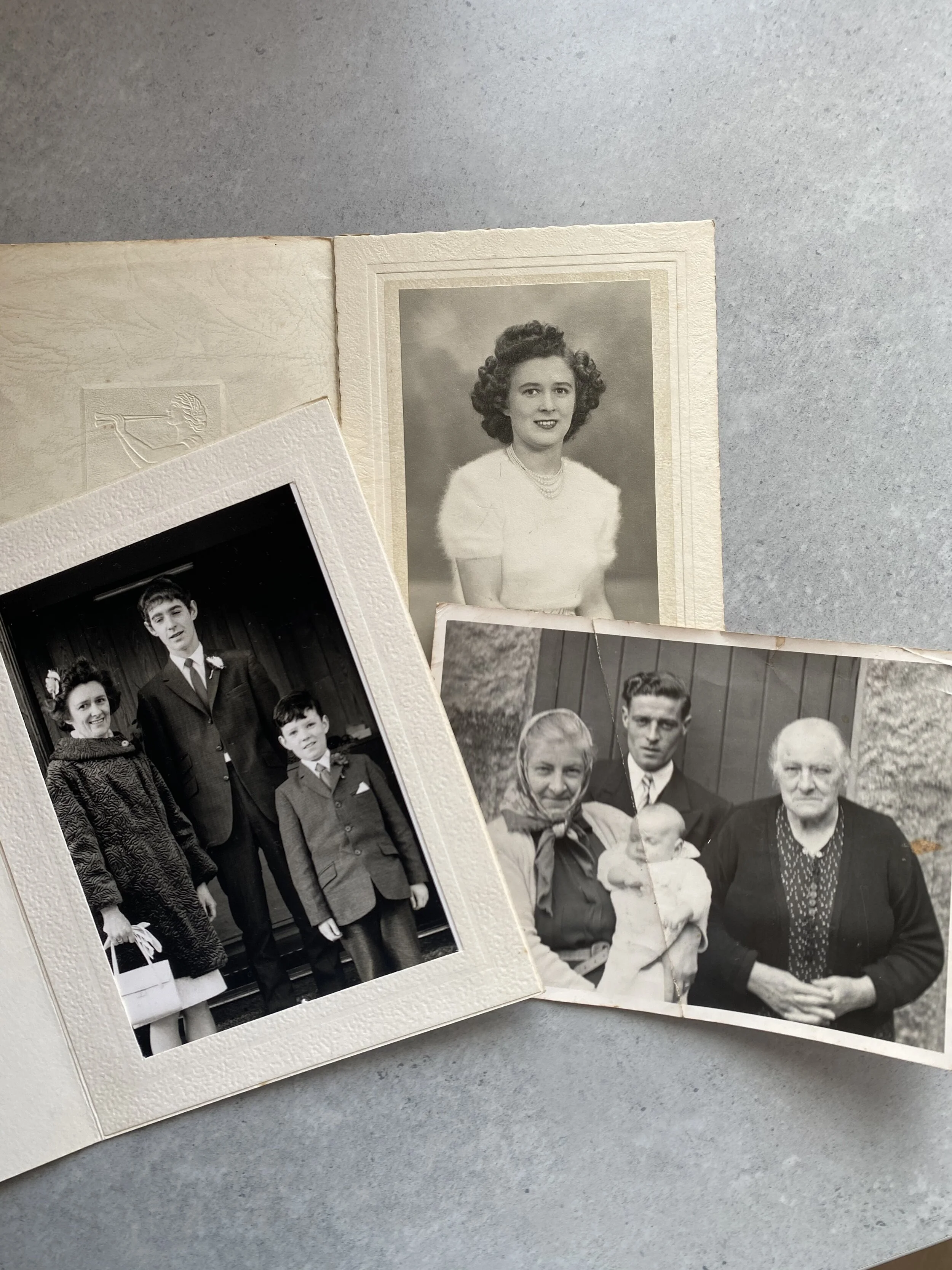 Portraits featuring many of Luna’s relatives, including a Great-Great-Great Grunny!