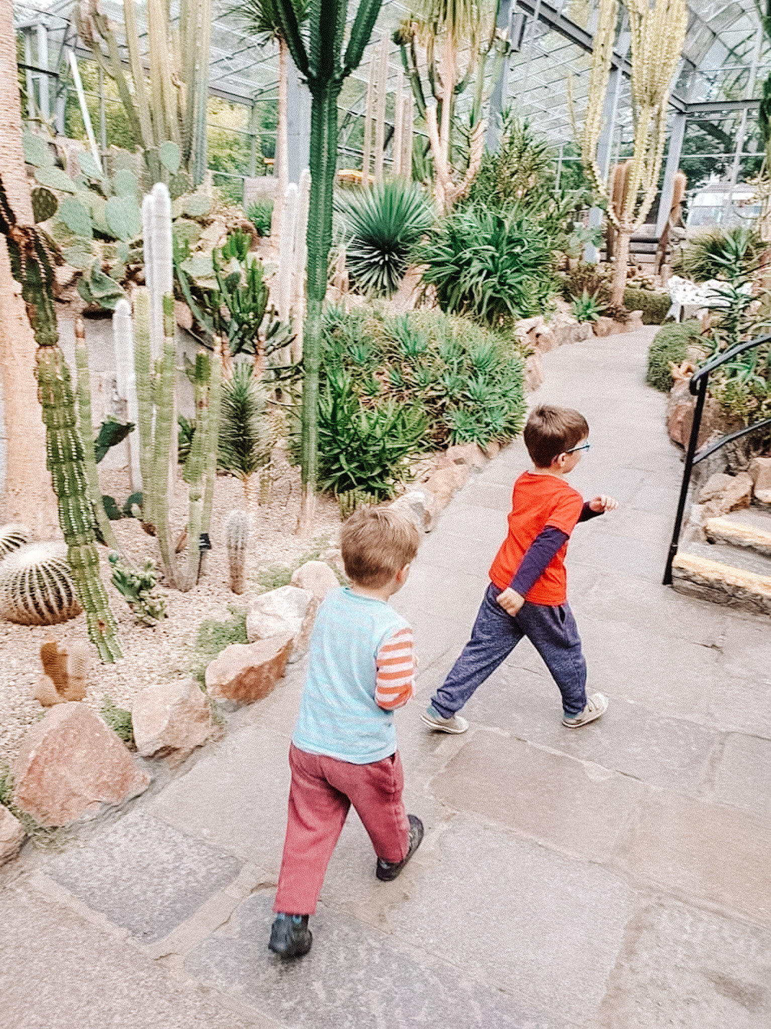duthie-park-winter-gardens-aberdeenshire.JPG