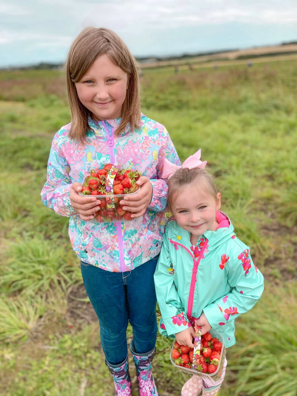 strawberry-picking-at-middleton-farm-potterton1.jpg