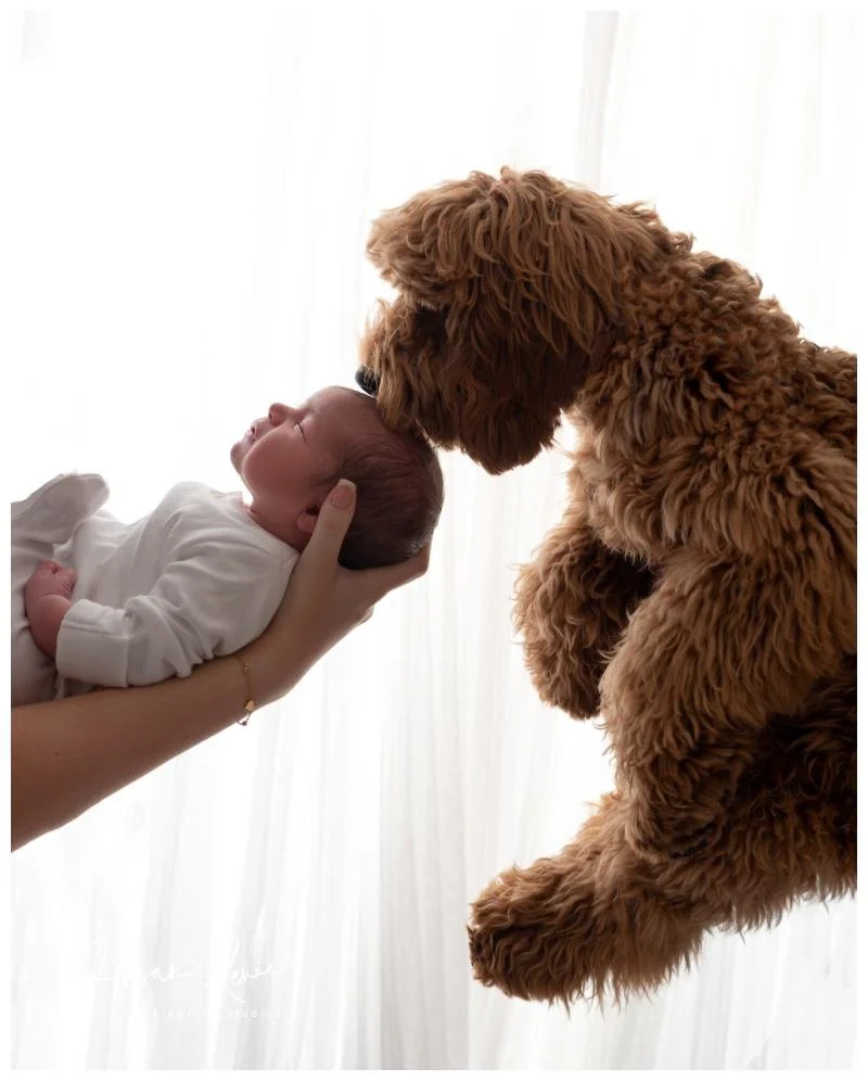 What’s a PURE newborn session at Kingshill Studios? 