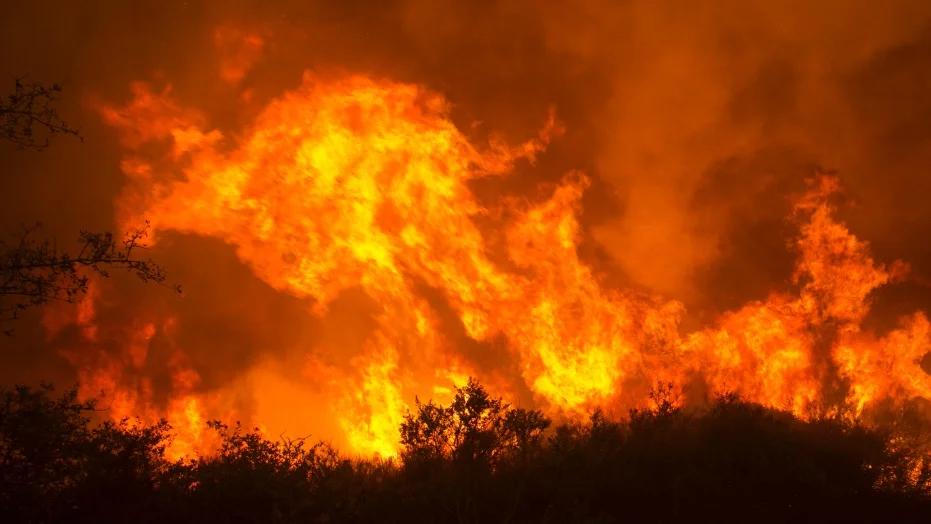 Nor Cal Fires.jpg