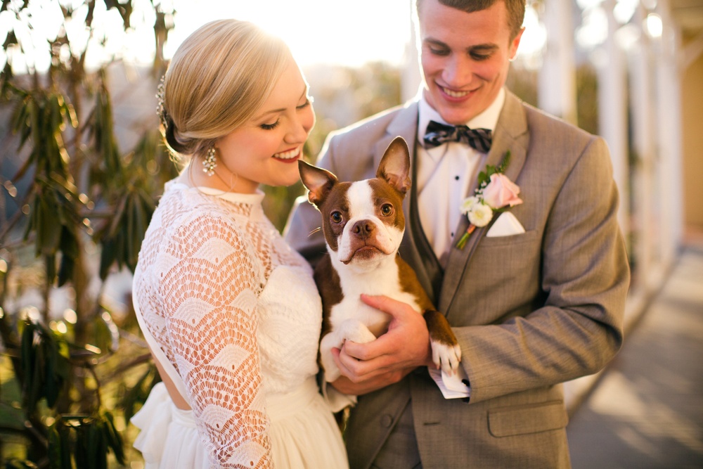 Boston+Terrier+Wedding,+Amy+Gray+Photography.jpg