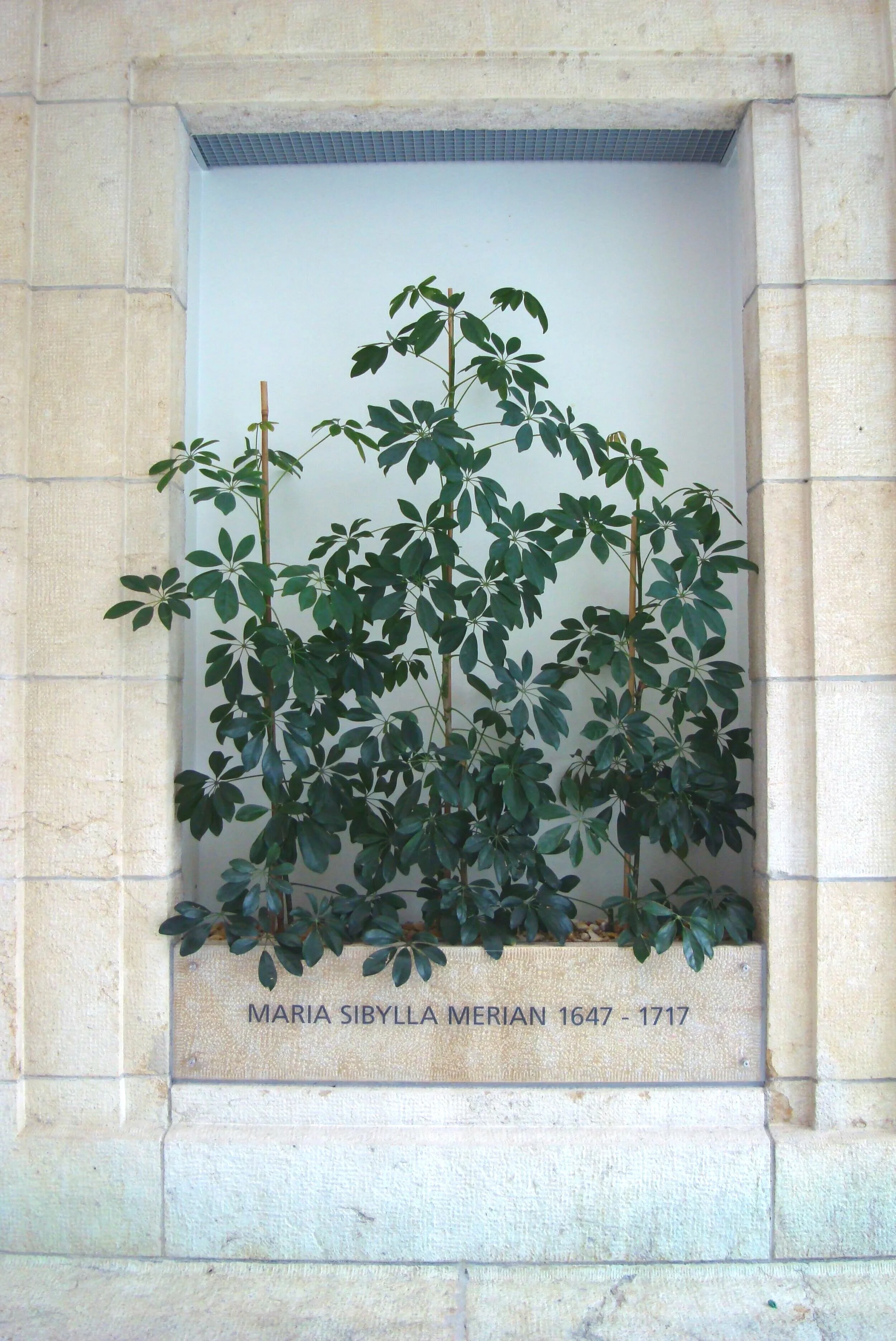             ZHAW – KUNST AM BAU  