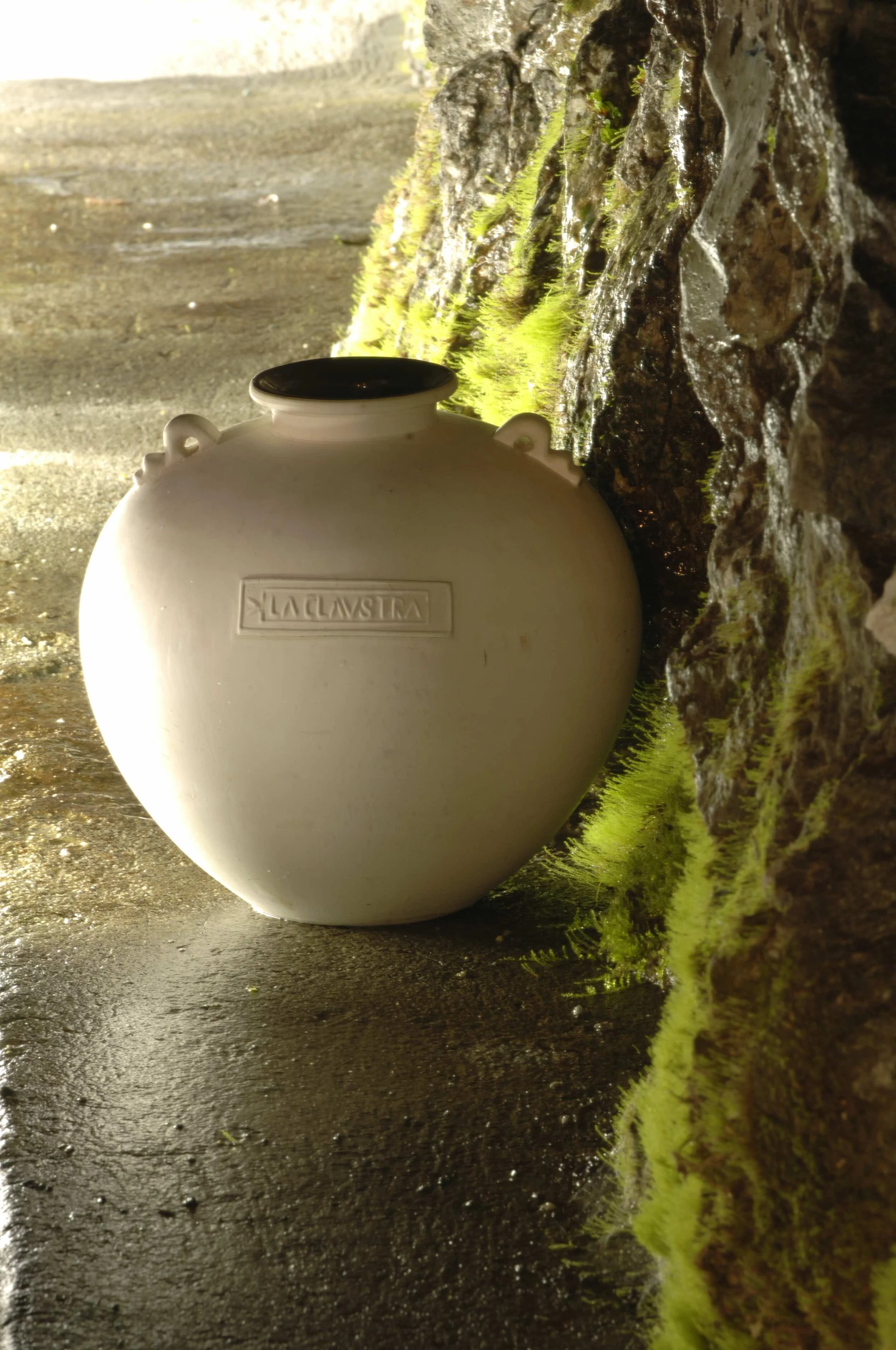 25.1 Vase & Moos.jpg