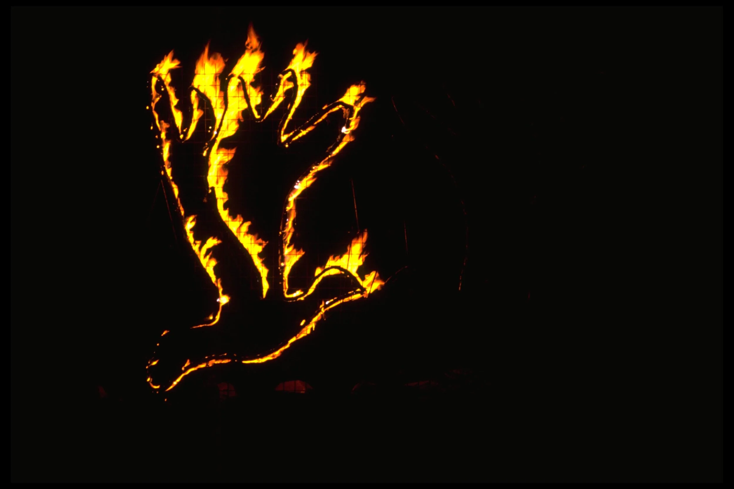 FIREBIRD.2.jpg