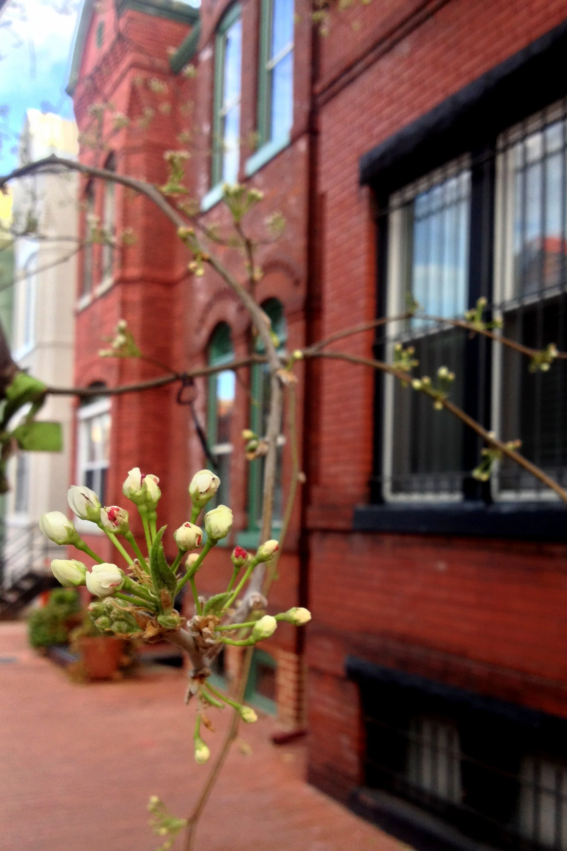 Spring-001.jpg