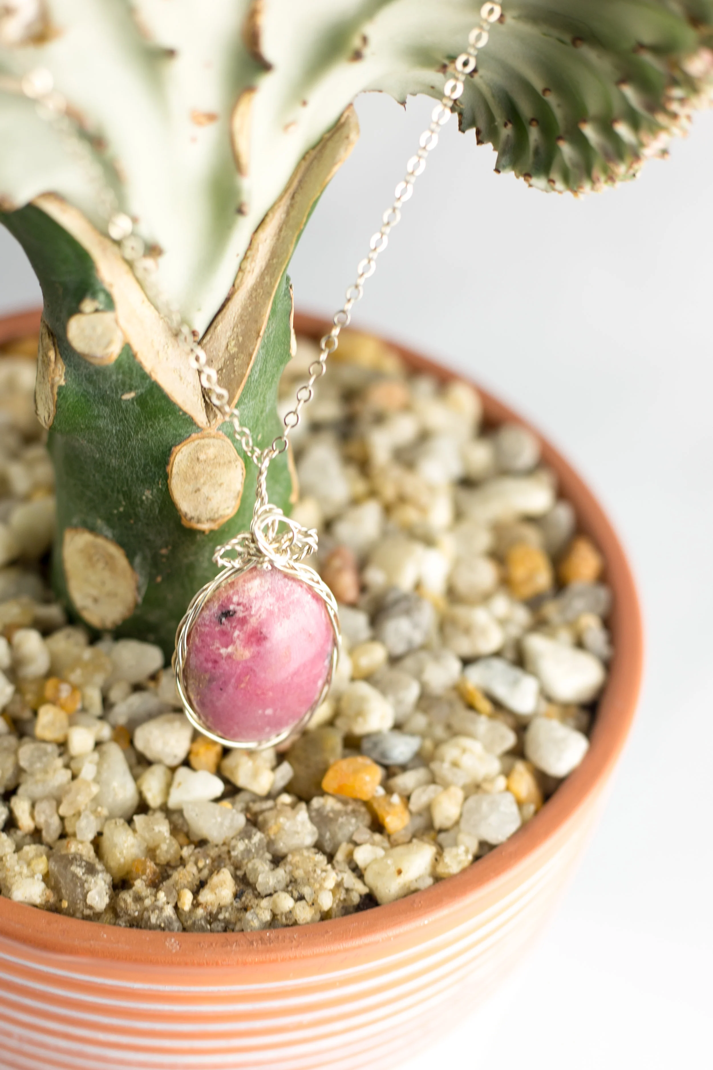 From Rocks to Gems Cactus-10.JPG