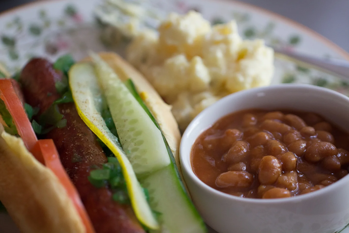 Chicago Dog, Beans and Potato Salad - 2014