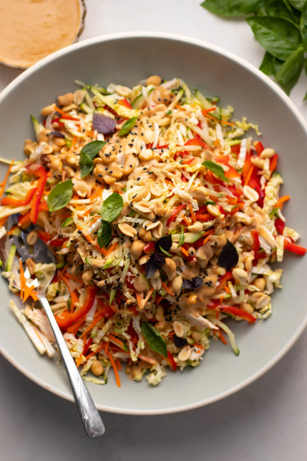 Crunchy Thai Chicken Salad with Peanut Dressing 