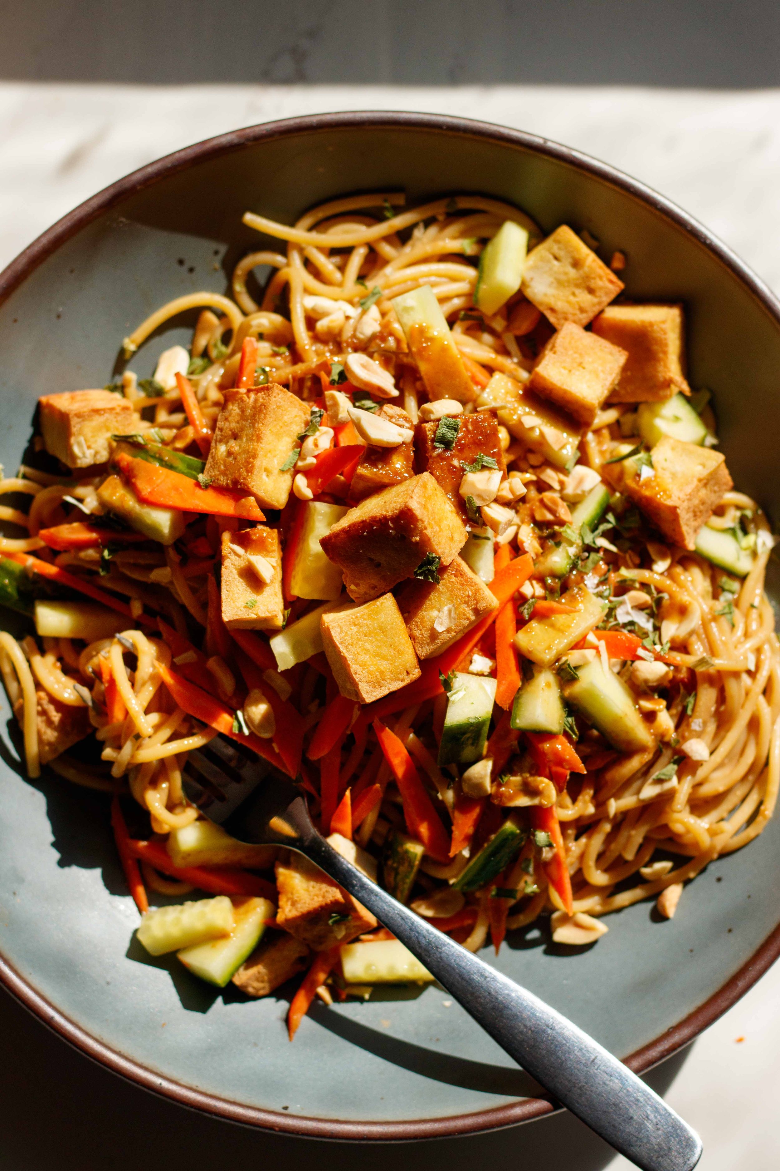 Pan Fried Tofu with Sesame Peanut Noodles 