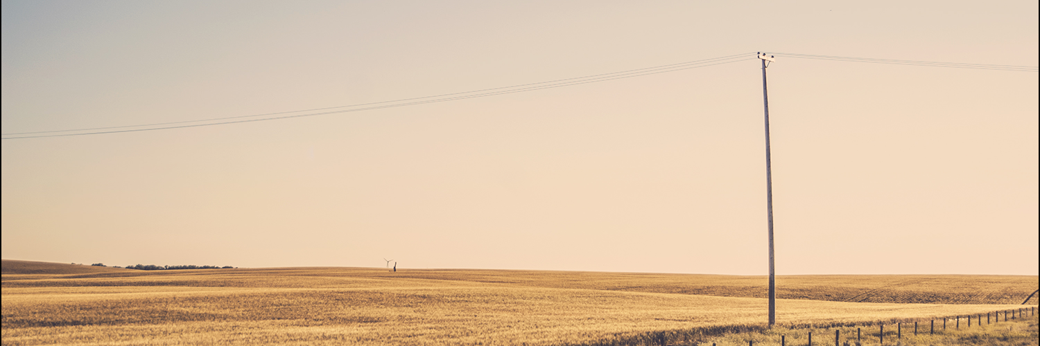 TJW-Banner-7.png