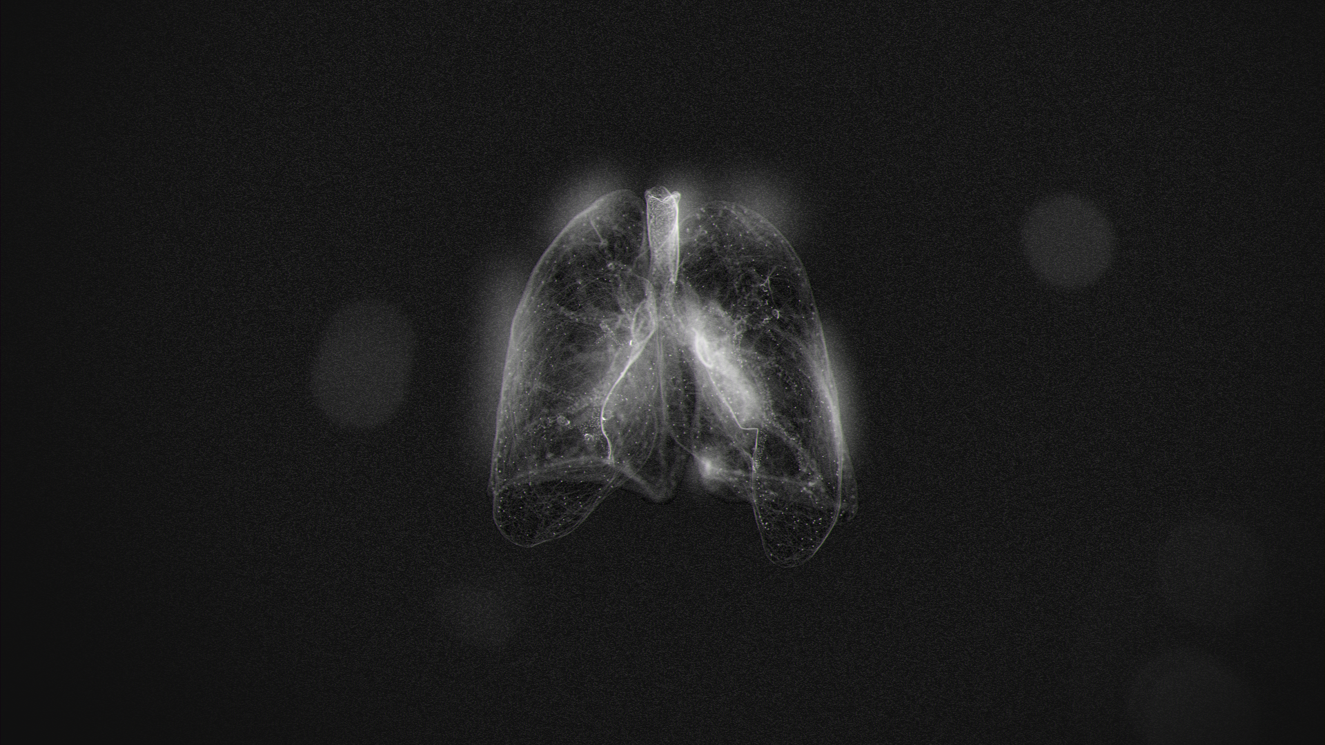 Lungs_v2_0023 (0-00-00-00).png