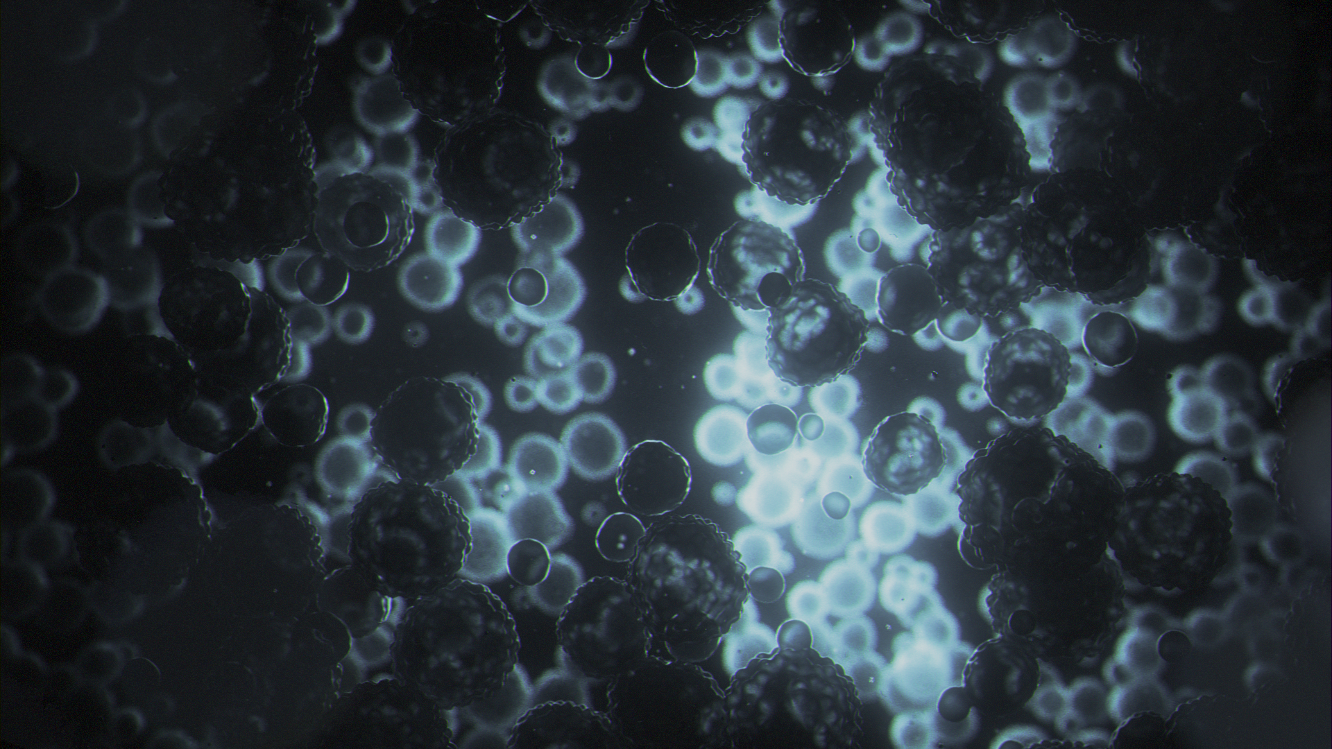 PC_SC080_Organoids_Concept_A_1.png