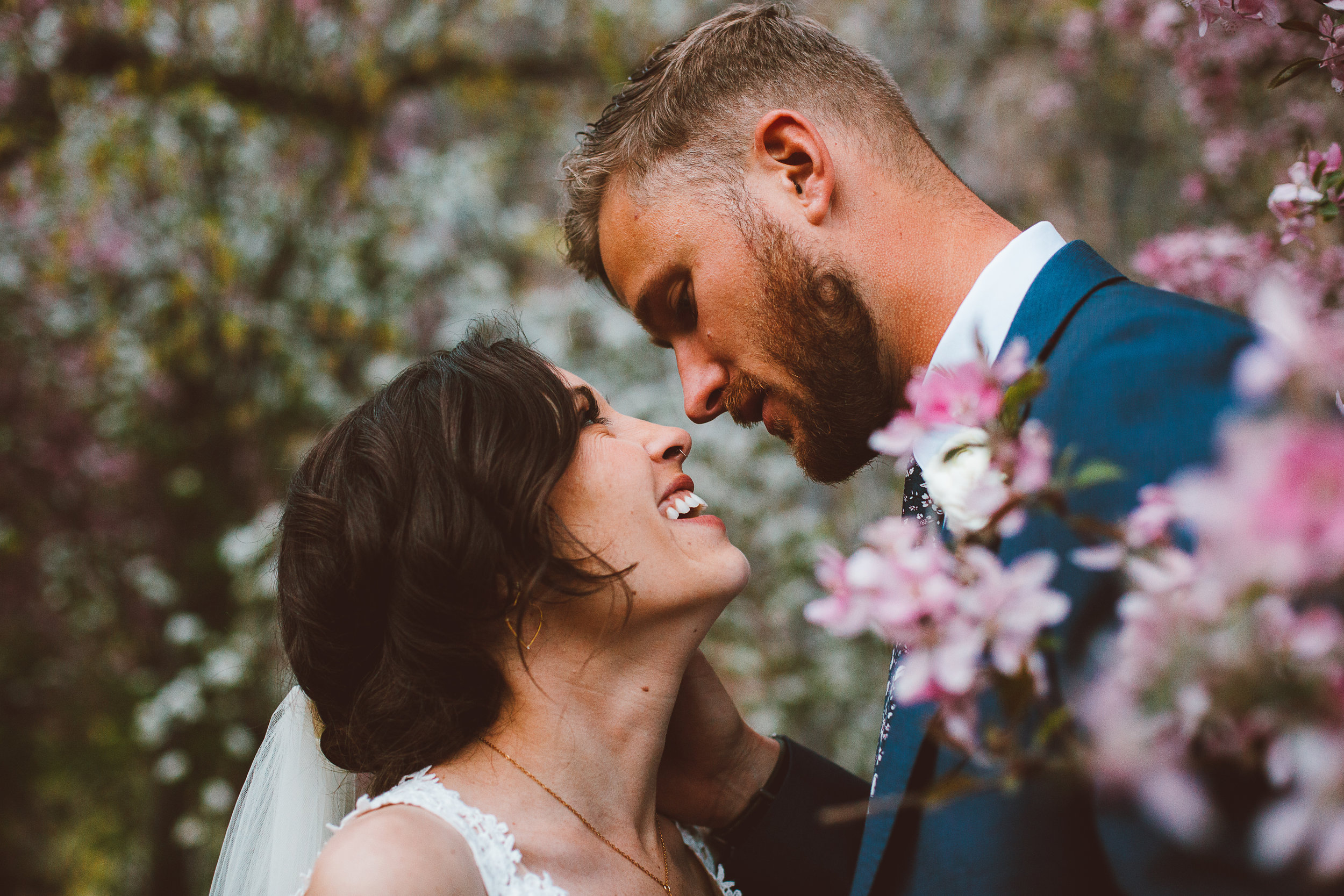 Wedding couple kissing amongst spring blossoms in Colorado