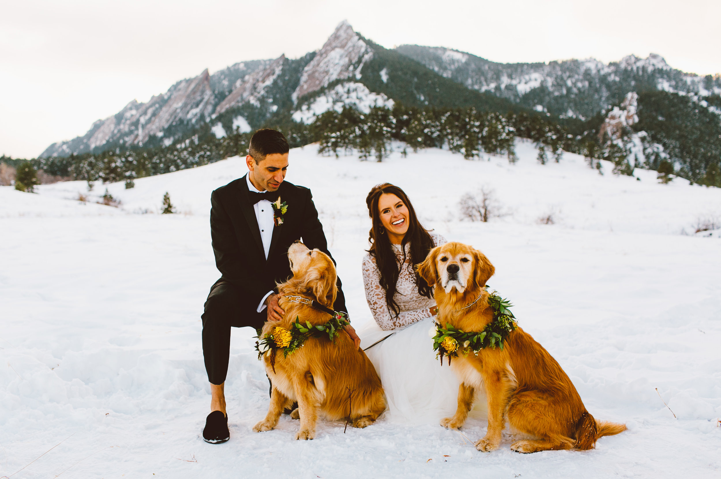 Winter wedding couple with their dogs in Boulder Colorado