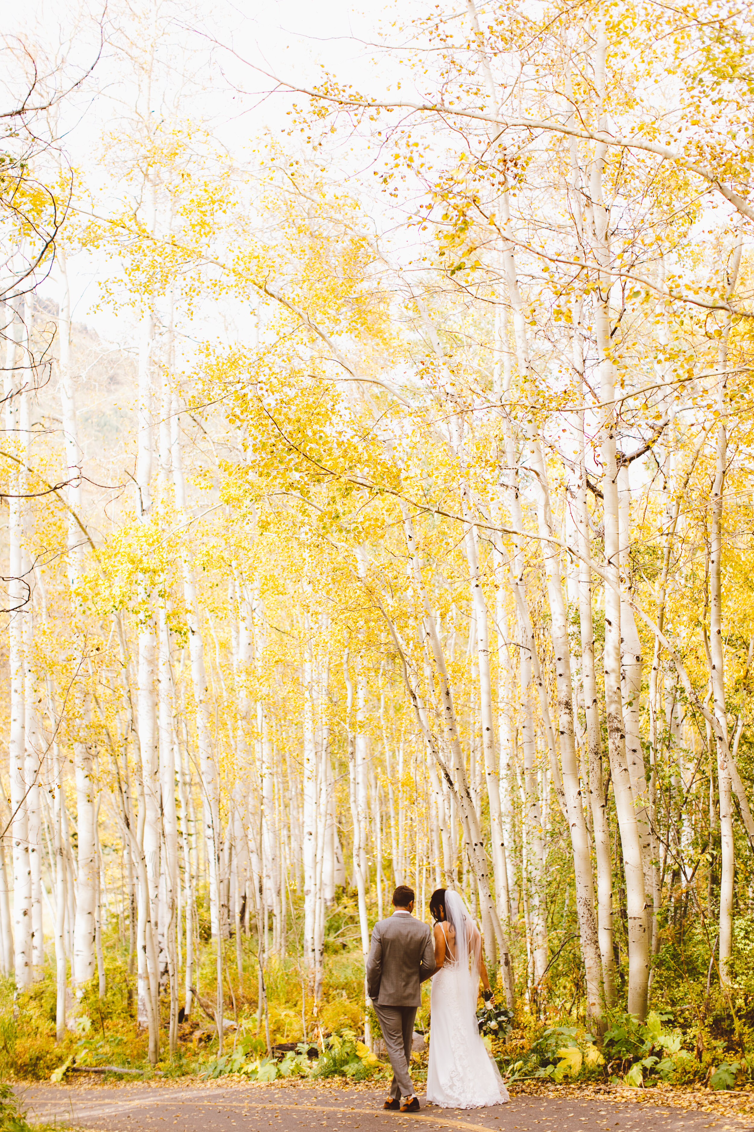 Fall golden aspen wedding in Vail Colorado
