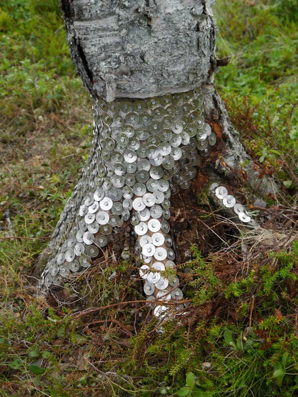 unnamed (15).jpg