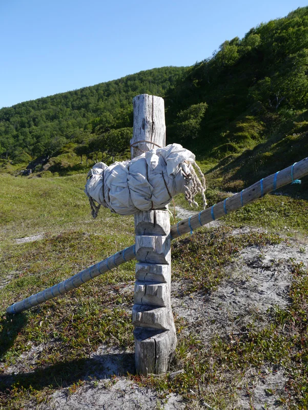 P1000791.jpg