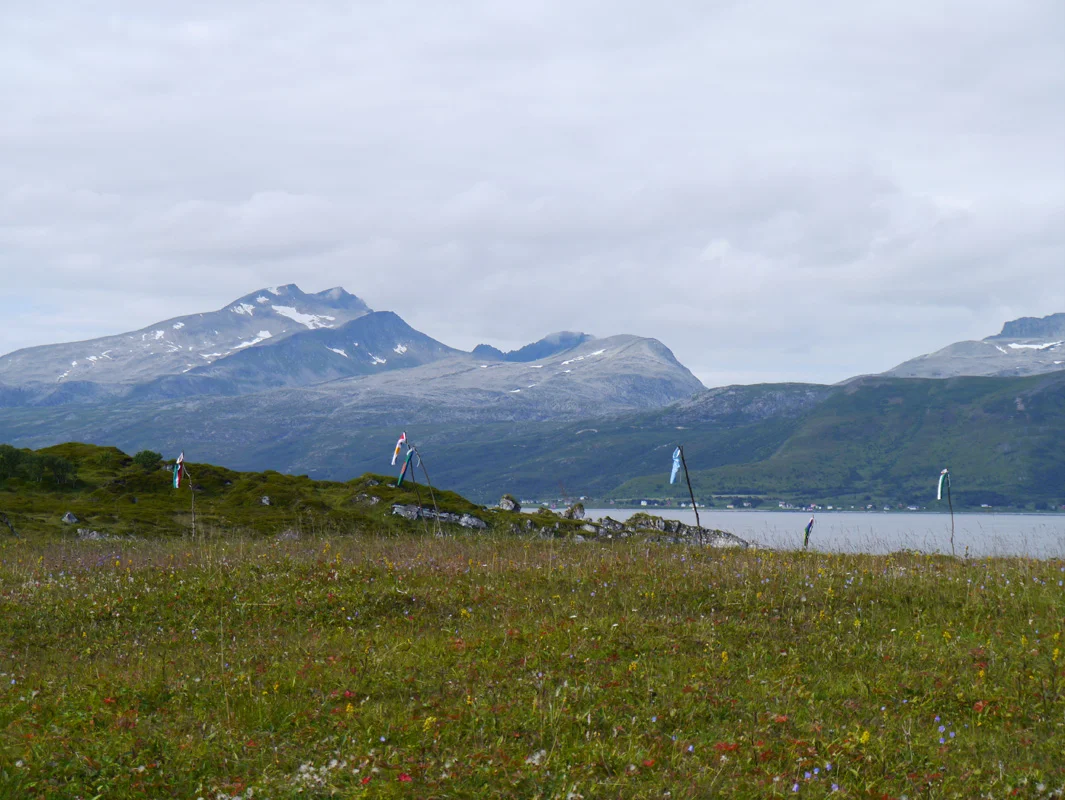 P1000890.jpg