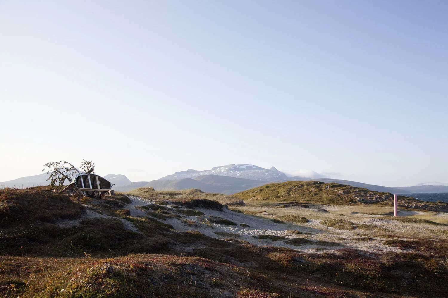Angel: Work in progress. Anita Hillestad. Tore Forsberg. Pink: Anita HIllestad