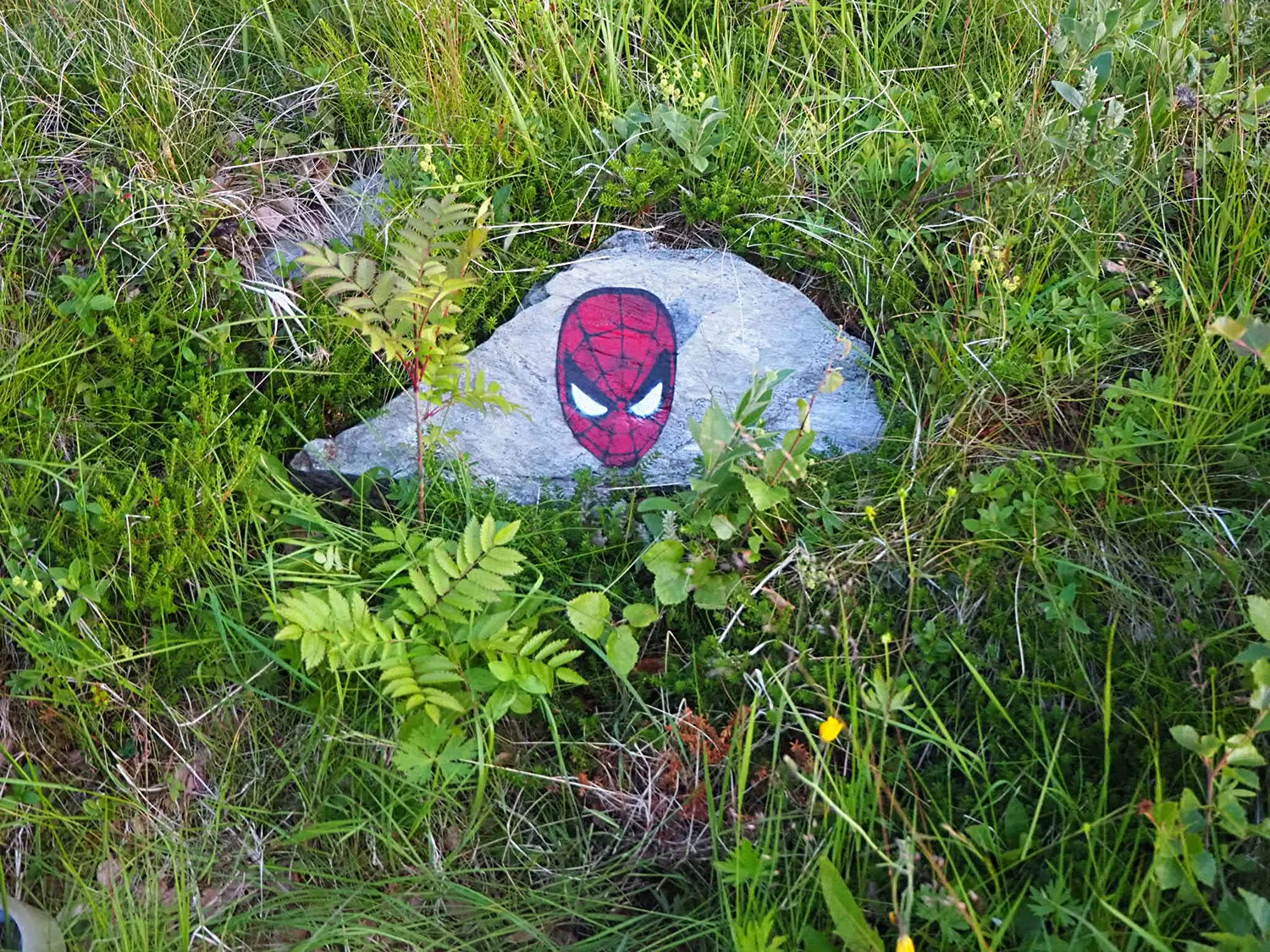 Documentation and artwork: Stig Olav Tony Fredriksson