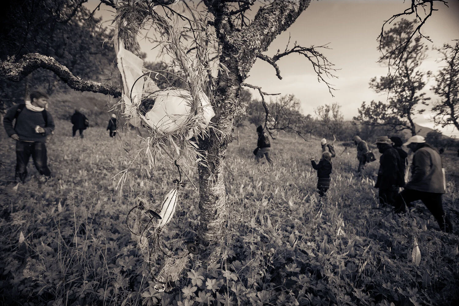 Sofia Wara. Photo Jan-Morten Bjørnbakk