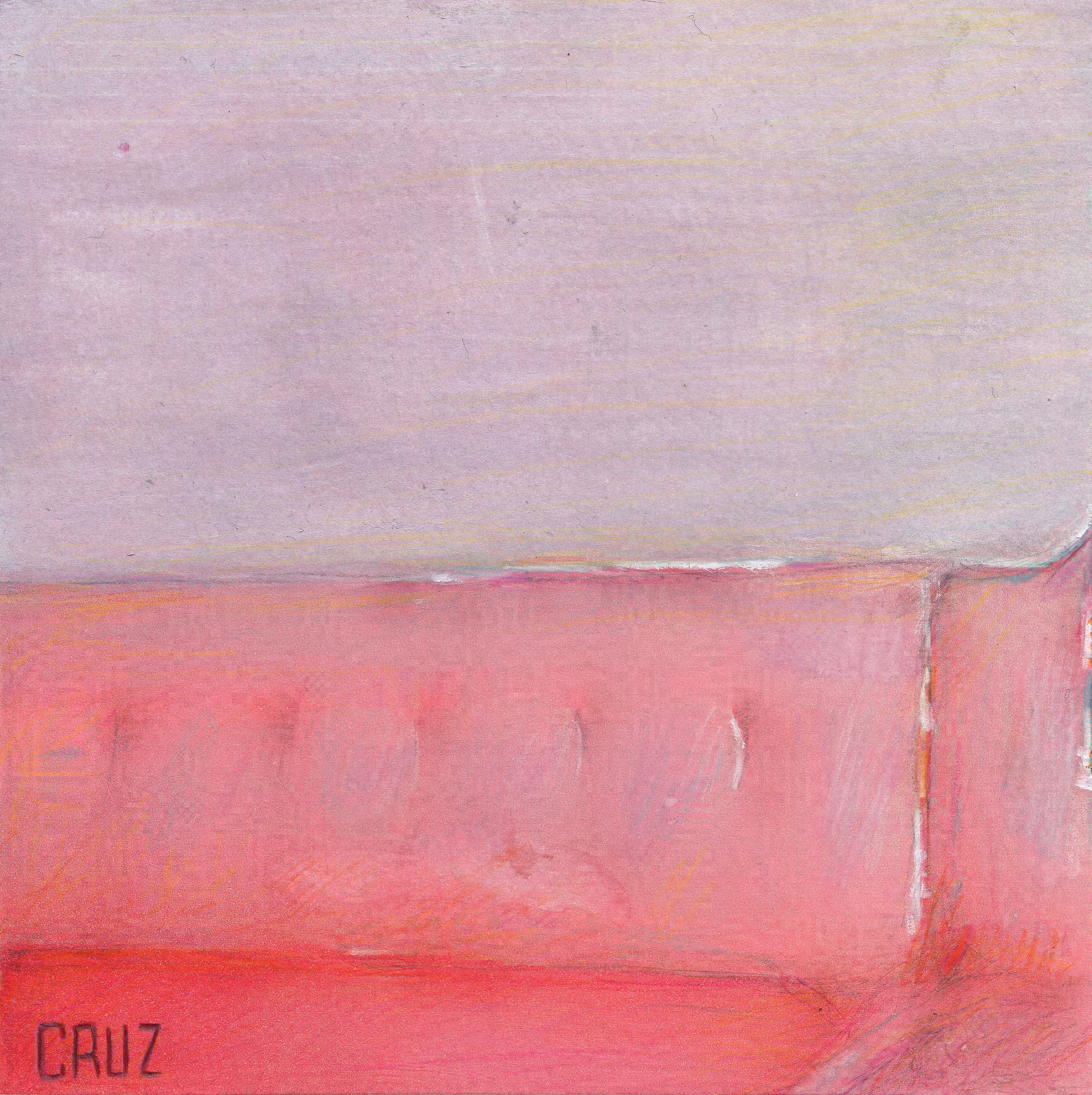 Pink Couch