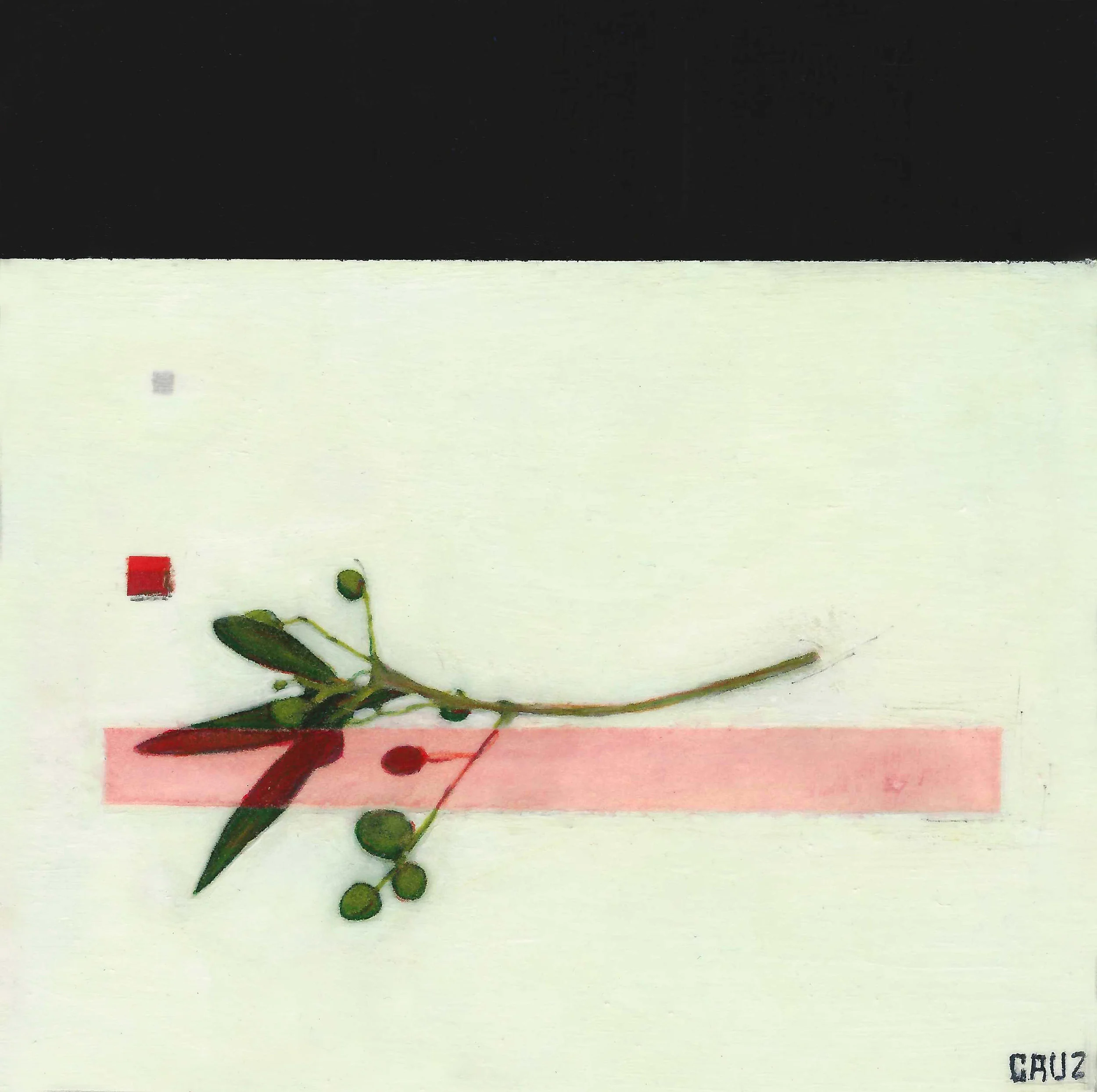 Olive Branch