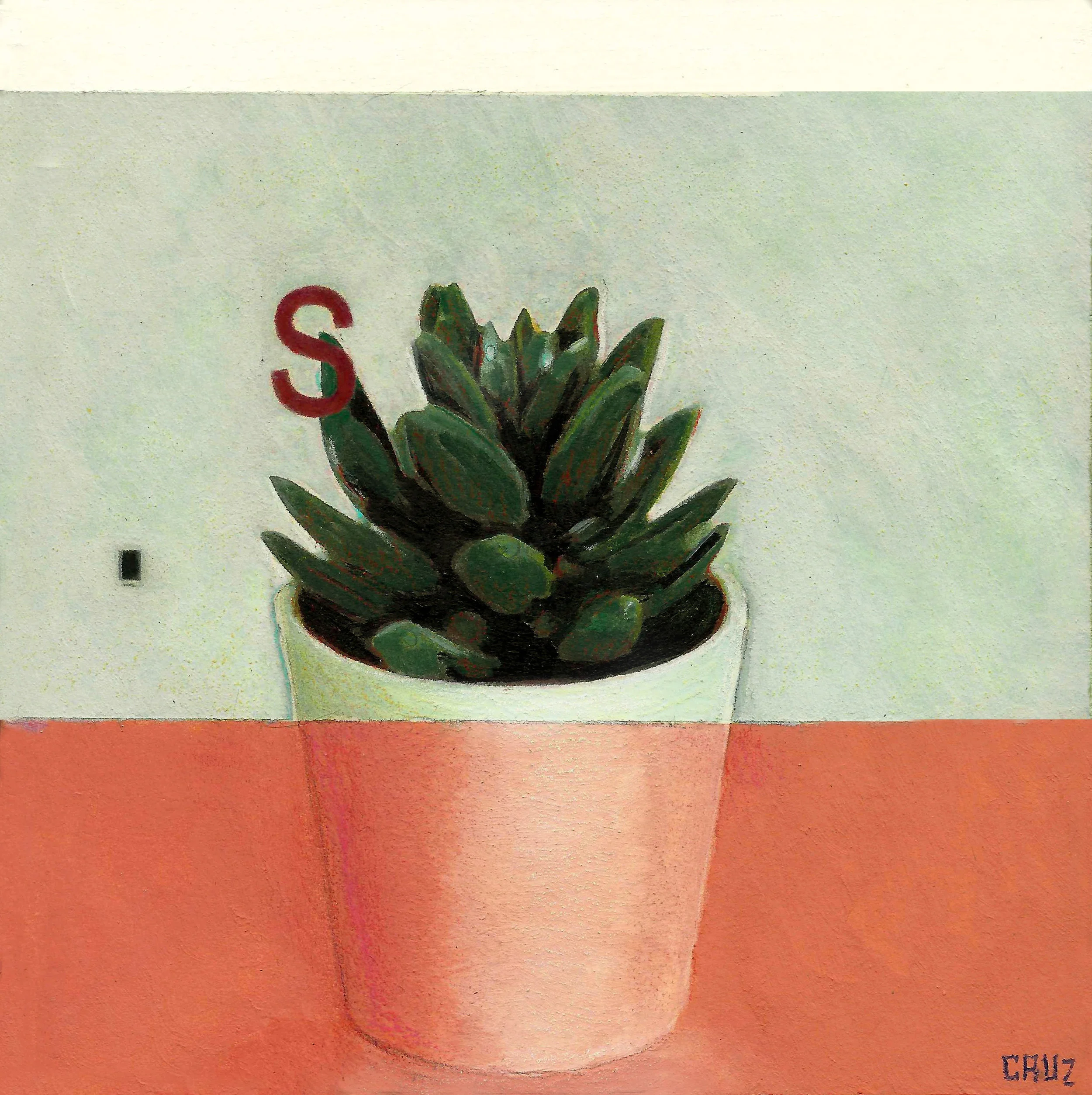 S is for Succulent