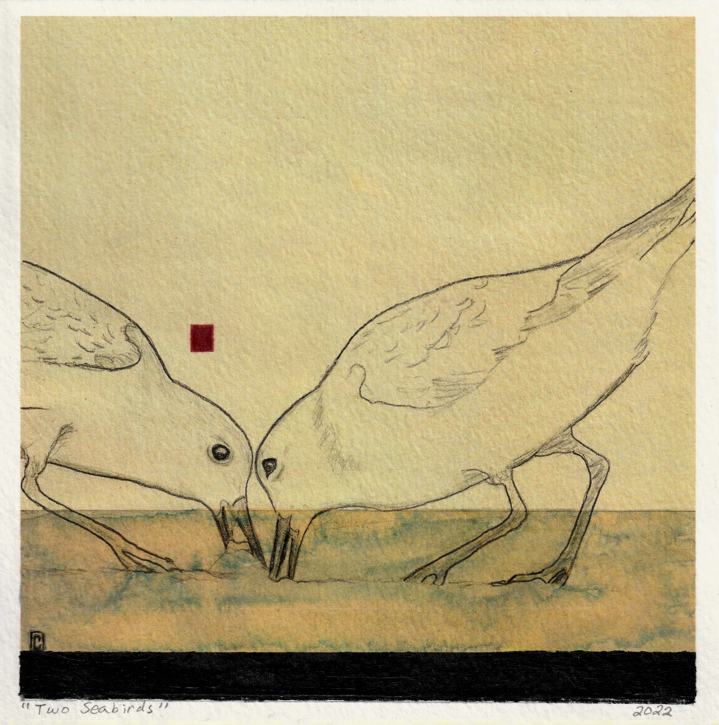 Two Seabirds.jpg