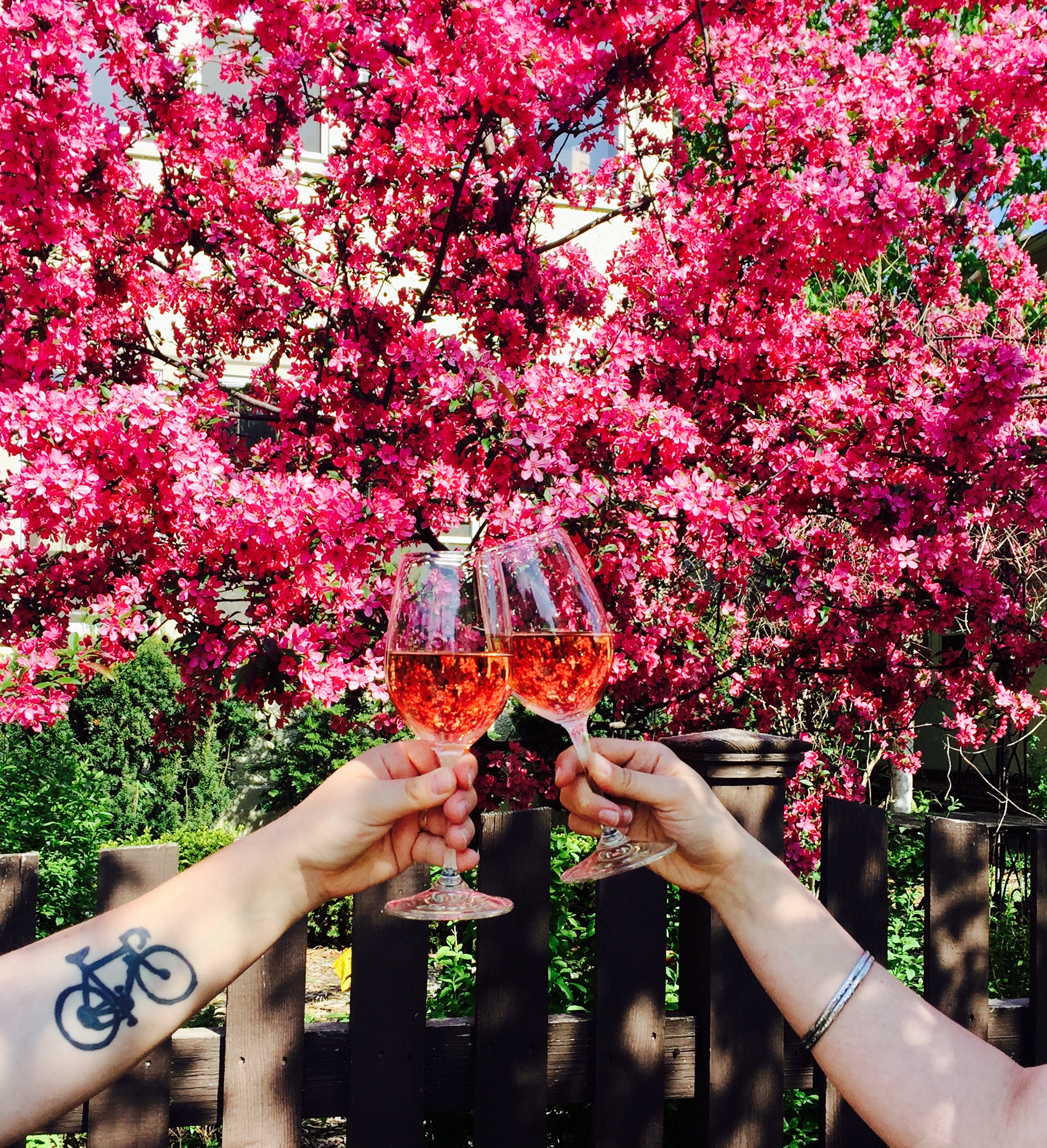 SOLD OUT: Solo Vino + St. Genevieve Rosé Dinner