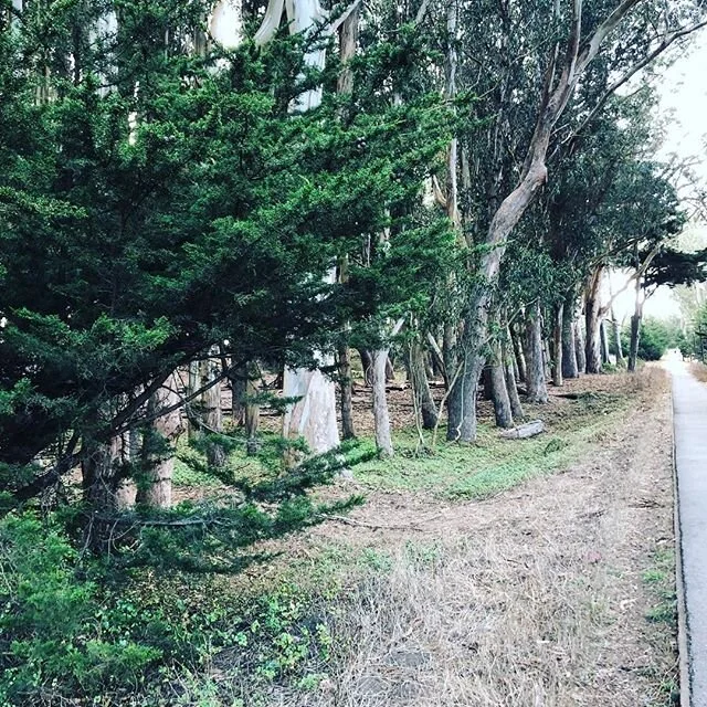...
We took the bones out from the road
Those endless nights that we traveled we stole
You let your clothes fall to the floor
And lit a fire while I waited for more...