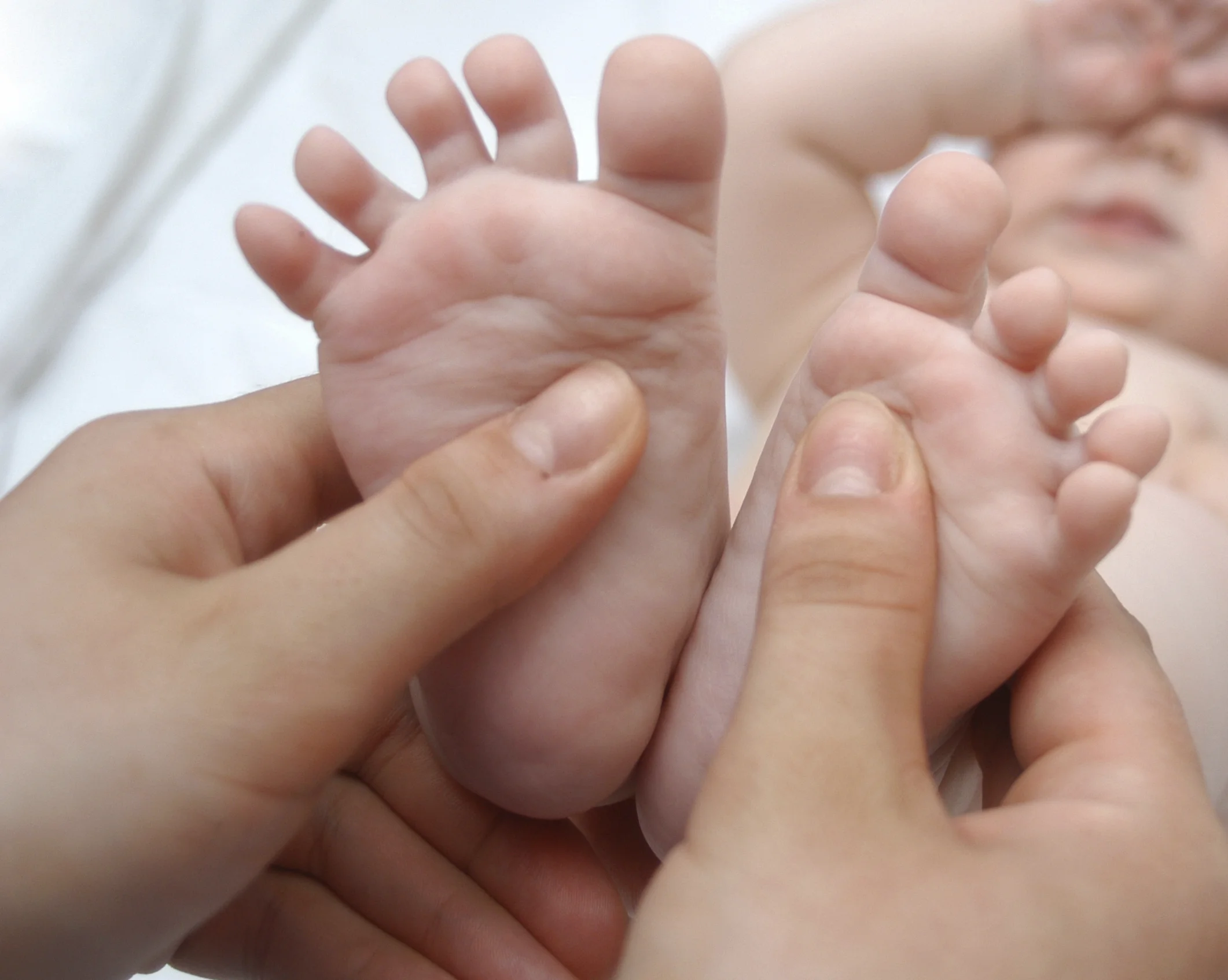 iStock_000003573671Medium.jpg