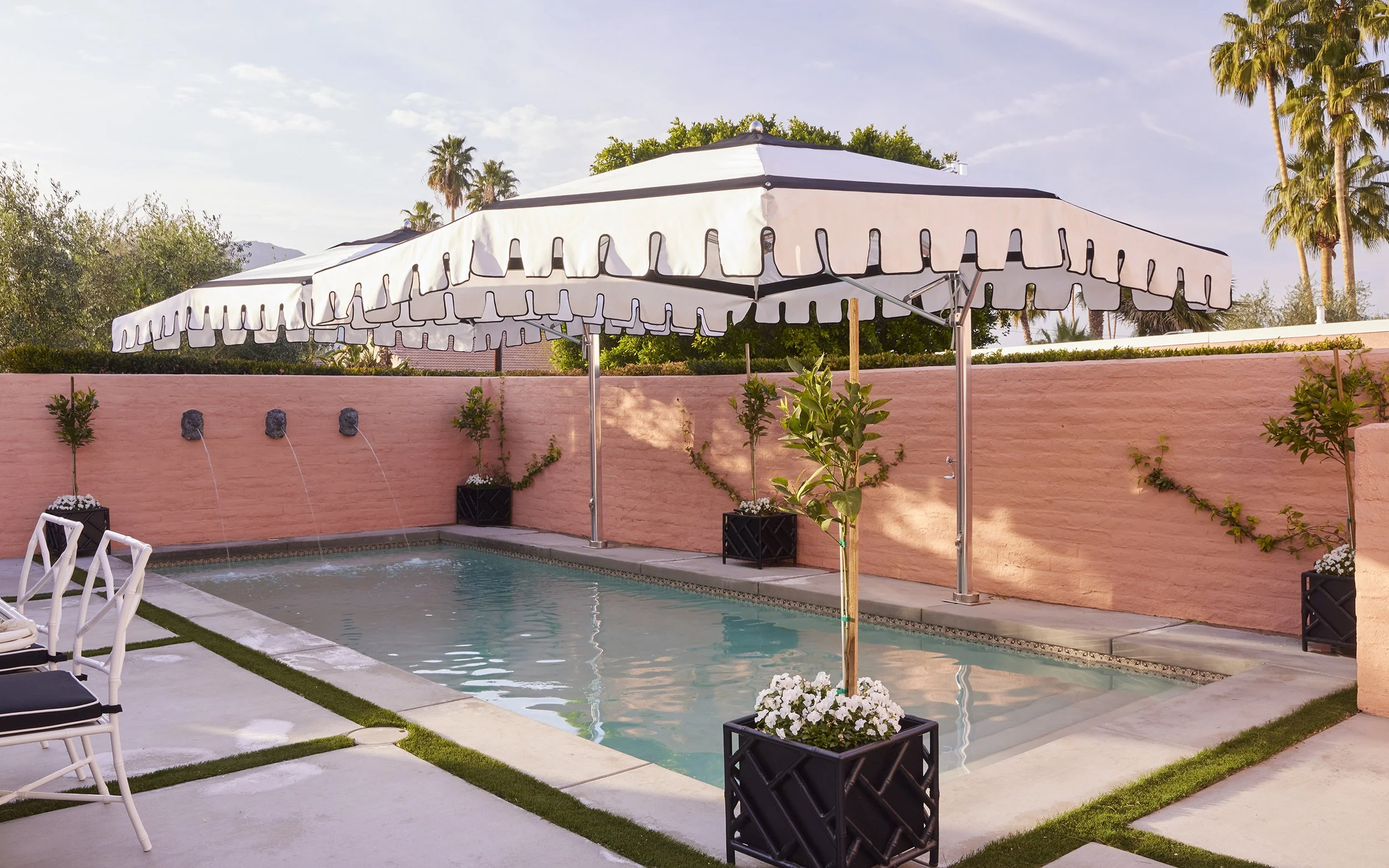 Albright 1-31-202517468.jpg