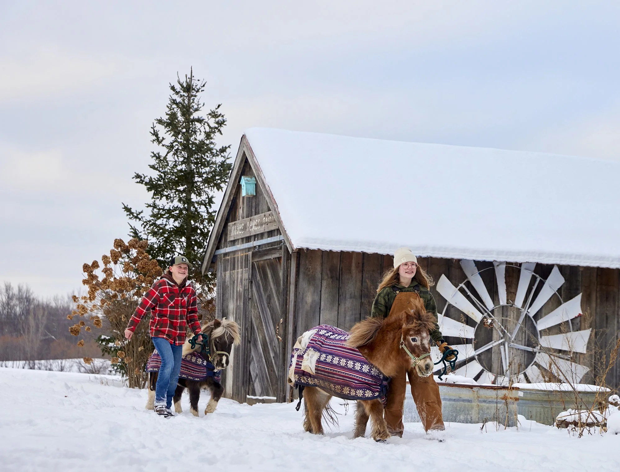 Farmhouse Xmas 1-15-2025 143.jpg