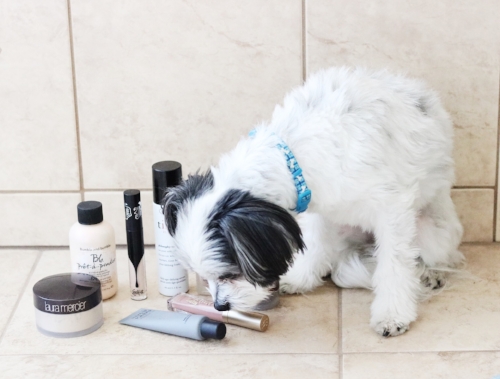 All of these products are Mylie approved as well! Because your dog's opinion is really important, right?