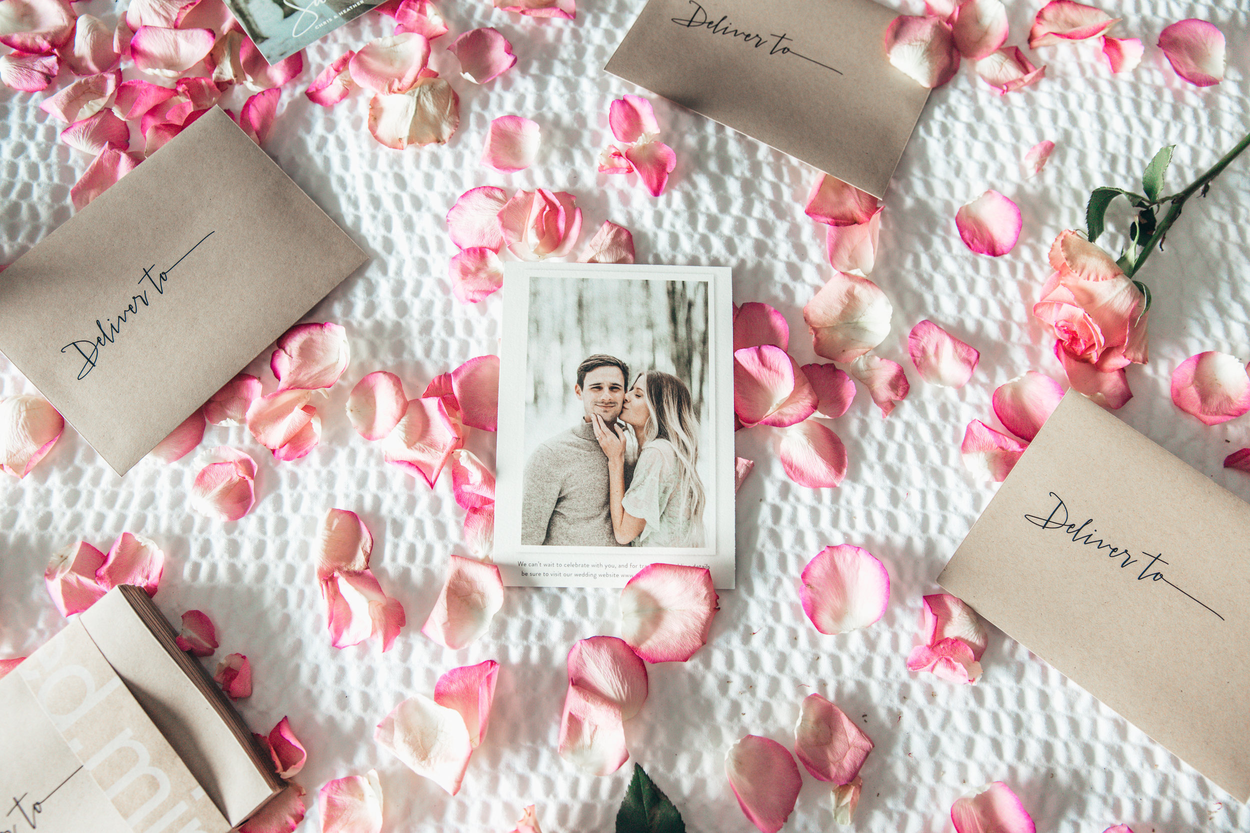 save the dates x minted-4.jpg