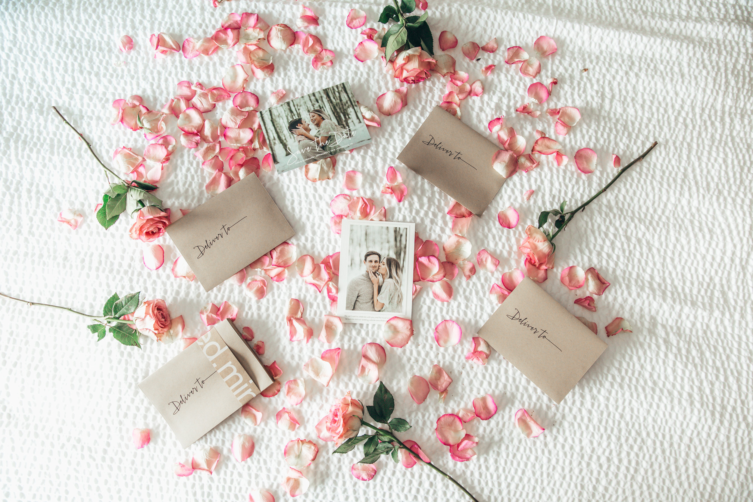 save the dates x minted-6.jpg
