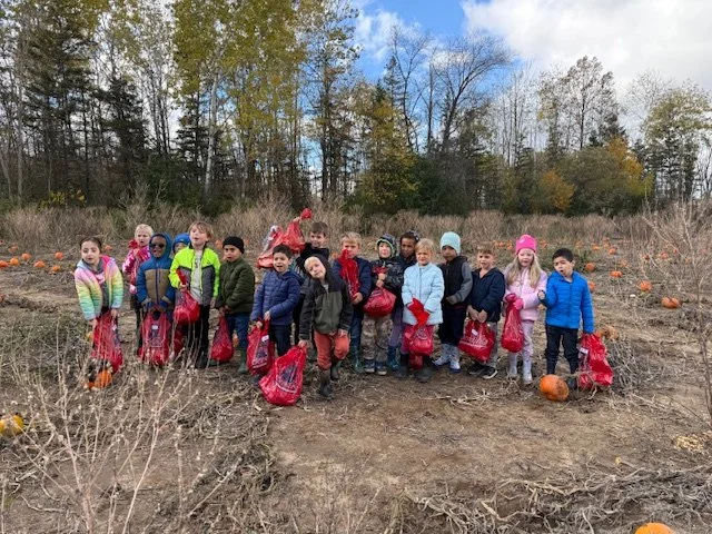 Perfect week for the pumpkin farm! 🎃